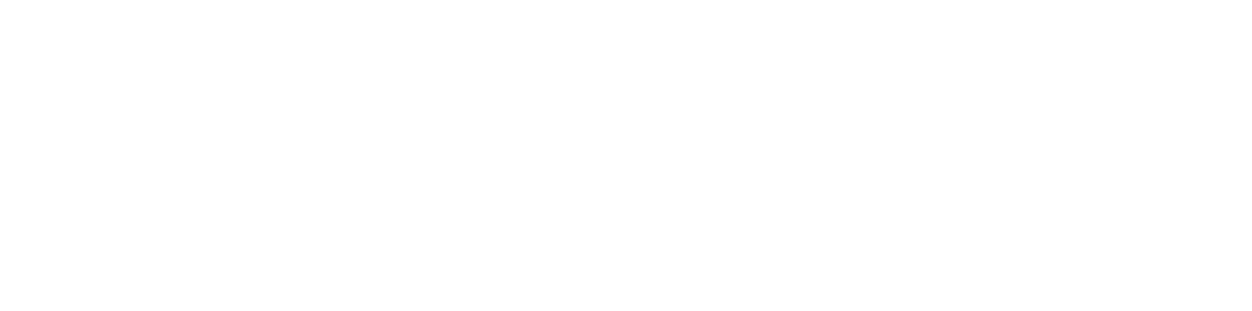 HSE · Gestão HSLZ